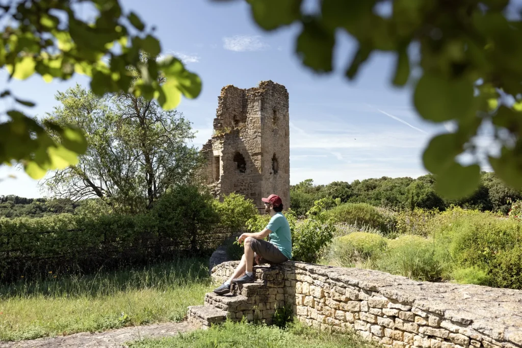 jardin-poesie-inspiration-medievale-saint-martin-le-vieil