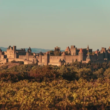 La cité de Carcassonne vue de loin, automne