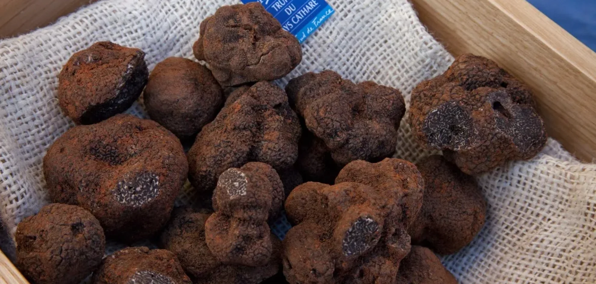 Marchés au truffes dans l’Aude