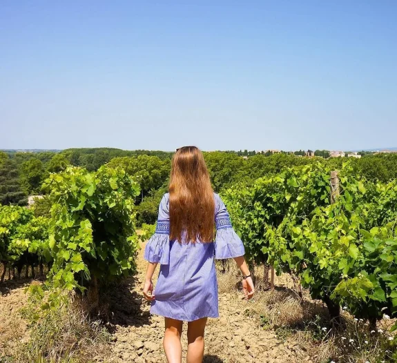 vignes aude occitanie