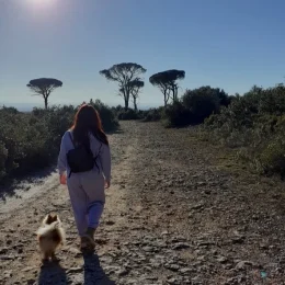 Qu’est ce qu’on visite en mars ?