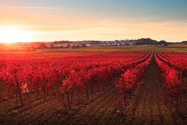 7 idées pour profiter de l’Automne en Grand Carcassonne