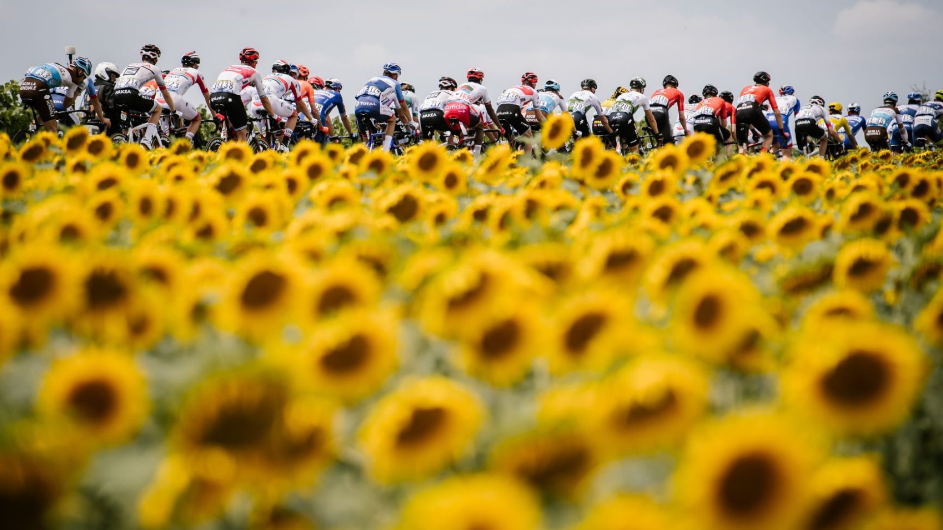 Tour de France à Carcassonne